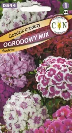 gozdzik-brodaty-mix-atrakcyjny-pieknie-ubarwiony-gesty