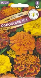 aksamitka-niska-mix-koloru-dlugie-i-obfite-kwitnienie