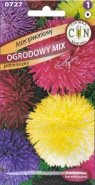 aster-piwoniowy-mix-kolorow-kwiaty-pelne-duze-mocne