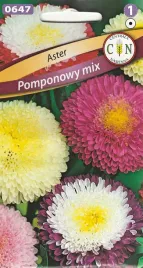 aster-pomponowy-mix-cudowne-roznobarwne-kwiatostany