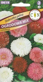 stokrotka-pelna-mix-kolorow-wieloletnia-piekna