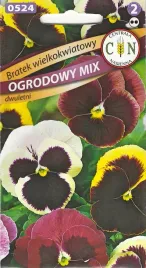 bratek-wielokwiatowy-piekne-kolory