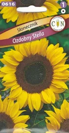 slonecznik-ozdobny-stella-wysoki-z-duzym-pieknym-kwiatem