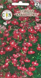 lobelia-karminowa-silnie-rozkrzewia-sie-dywanowo-pokrywajac-powierzchnie