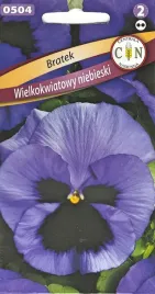 bratek-wielkokwiatowy-niebieski-piekny-odporny-duzy-kwiat