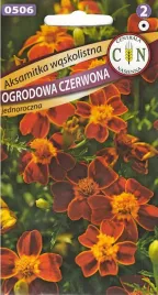 aksamitka-waskolistna-czerwona-przepiekna-odstrasza-nicienie