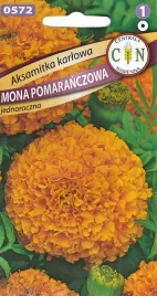aksamitka-niska-mona-pomaranczowa-duze-pelne-kwiaty