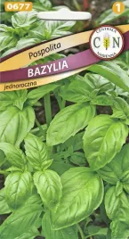 bazylia-pospolita-latwa-uprawa-w-doniczce-skrzynce-balkonowej-na-ogrodzie