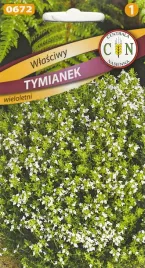 tymianek-wlasciwy-pikantne-aromatyczne-ziolo-wiele-zastosowan-bylina