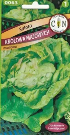 salata-krolowa-majowych-smaczna-delikatna-odmiana-maslowa