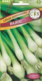 cebula-siedmiolatka-bajkal-wieloletnia-b-dobra-gruby-szczypior