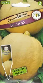dynia-olbrzymia-bambino-do-15kg-duzo-wit-a