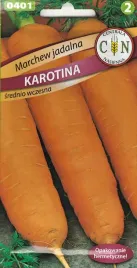 marchew-karotina-idealna-do-przetworstwa-i-na-soki-duzo-naturalnego-cukru-i