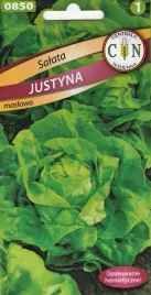 salata-justyna-caloroczna-maslowa-grunt-folia-szklarnia
