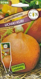dynia-uchiki-kuri-typ-hokkaido-pyszny-orzechowy-smak