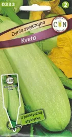 dynia-zwyczajna-kabaczek-kveta-na-grilla-leczo-duzy-i-smaczny