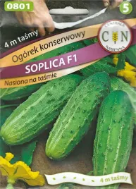 ogorek-soplica-f1-nasiona-na-tasmie-pyszny-i-plenny-na-kwaszenie-konserwo