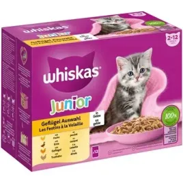 whiskas-junior-wybor-dan-drobiowych-w-galarecie