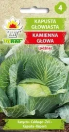 kapusta-glowiasta-kamienna-glowa-pozna-nasiona-2g