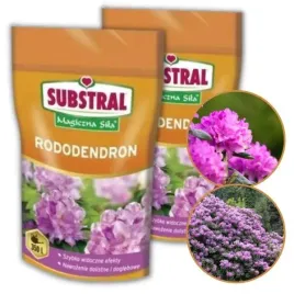 nawoz-do-rododendronow-substral-magiczna-sila-350-g-x-2-sztuki