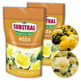 nawoz-do-roz-substral-magiczna-sila-350-g-x-2-sztuki