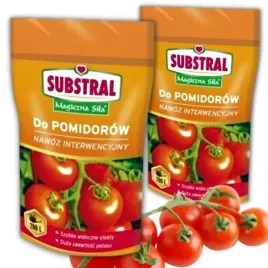 nawoz-do-pomidorow-substral-magiczna-sila-350-g-x-2-sztuki