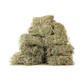 swieze-siano-okolo-4kg-dla-krolikow-gryzoni