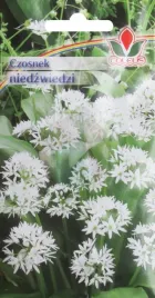 czosnek-niedzwiedzi-03-g