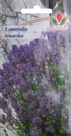 lawenda-lekarska-03-g