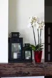 oslonka-do-storczykow-flora-material-tworzywo-sztuczne