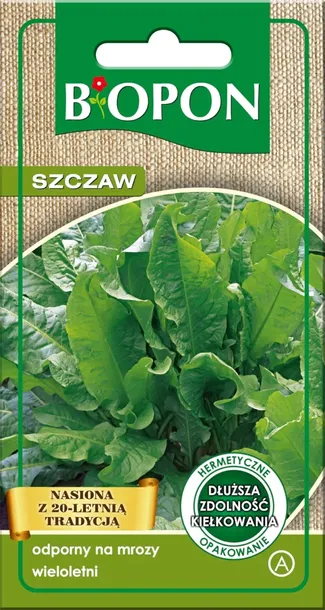 szczaw-nasiona