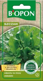 szczaw-nasiona