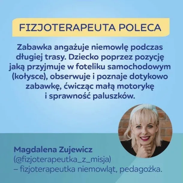 interakt-sens-zab-leniwiec-stan-nowy