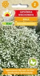 gipsowka-wiechowata-biala-przyciaga-motyle-05-g