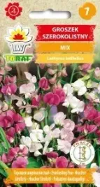 groszek-szerokolistny-mix-bylina-pnaca-do-2m-1g