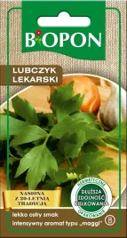 lubczyk-lekarski-nasiona
