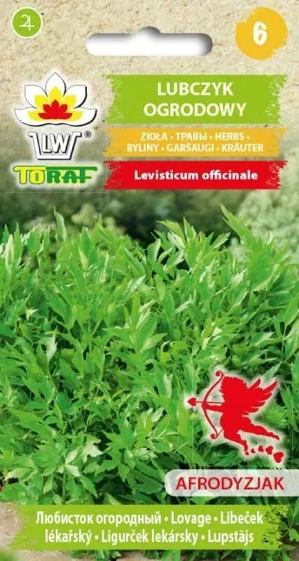 nasiona-lubczyk-1g
