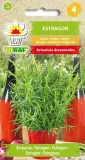 nasiona-estragon-02g