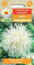 nasiona-aster-igielkowy-wysoki-beata-1g