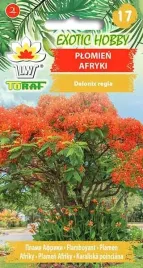 nasiona-plomien-afryki-5-szt