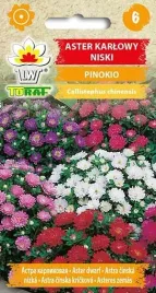 nasiona-aster-karlowy-pinokio-mieszanka-05g