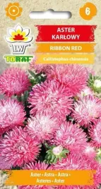 nasiona-aster-karlowy-ribbon-red-05g