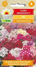 nasiona-floks-gwiezdzisty-mieszanka-05g