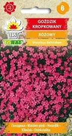 nasiona-gozdzik-kropkowany-rozowy-03g