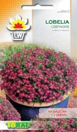 nasiona-lobelia-czerwona-01g