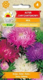 nasiona-aster-chryzantemowy-wysoki-mieszanka-1g