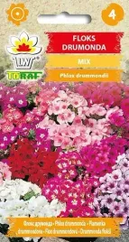 nasiona-floks-drumonda-mieszanka-05g