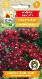 nasiona-gozdzik-brodaty-scarlet-beauty-05g