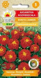 nasiona-aksamitka-rozpierzchla-bonita-carmen-1g