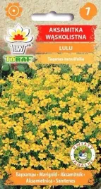 nasiona-aksamitka-waskolistna-lulu-05g